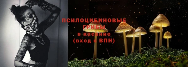 СК Магас