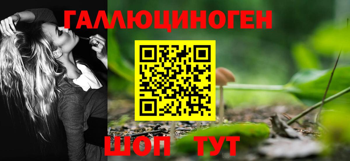 Галлюциногенные грибы Cubensis  Вход с VPN  Туапсе 